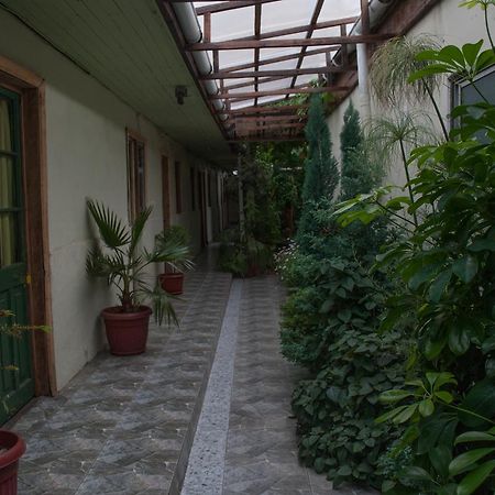 Hostel 1760 Talca  Exterior foto